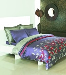 Branch Nevresim Takimi V2